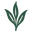 Terragon