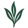 Terragon Logo